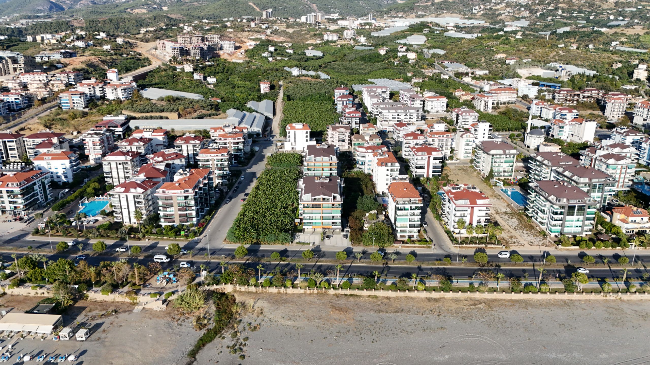 105 OXOPİA