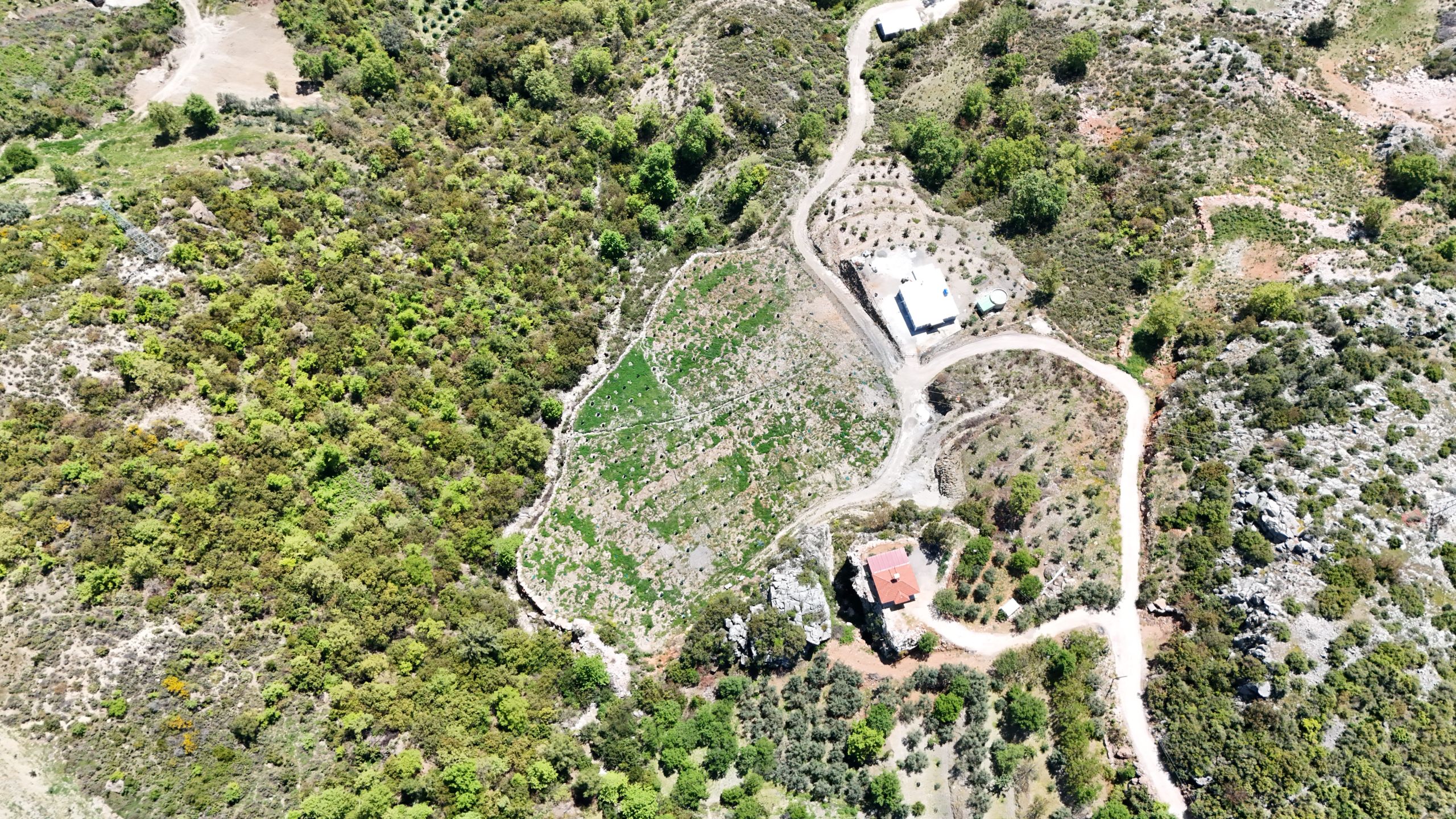 GÖZÜKÜÇÜKLÜ BAHÇE