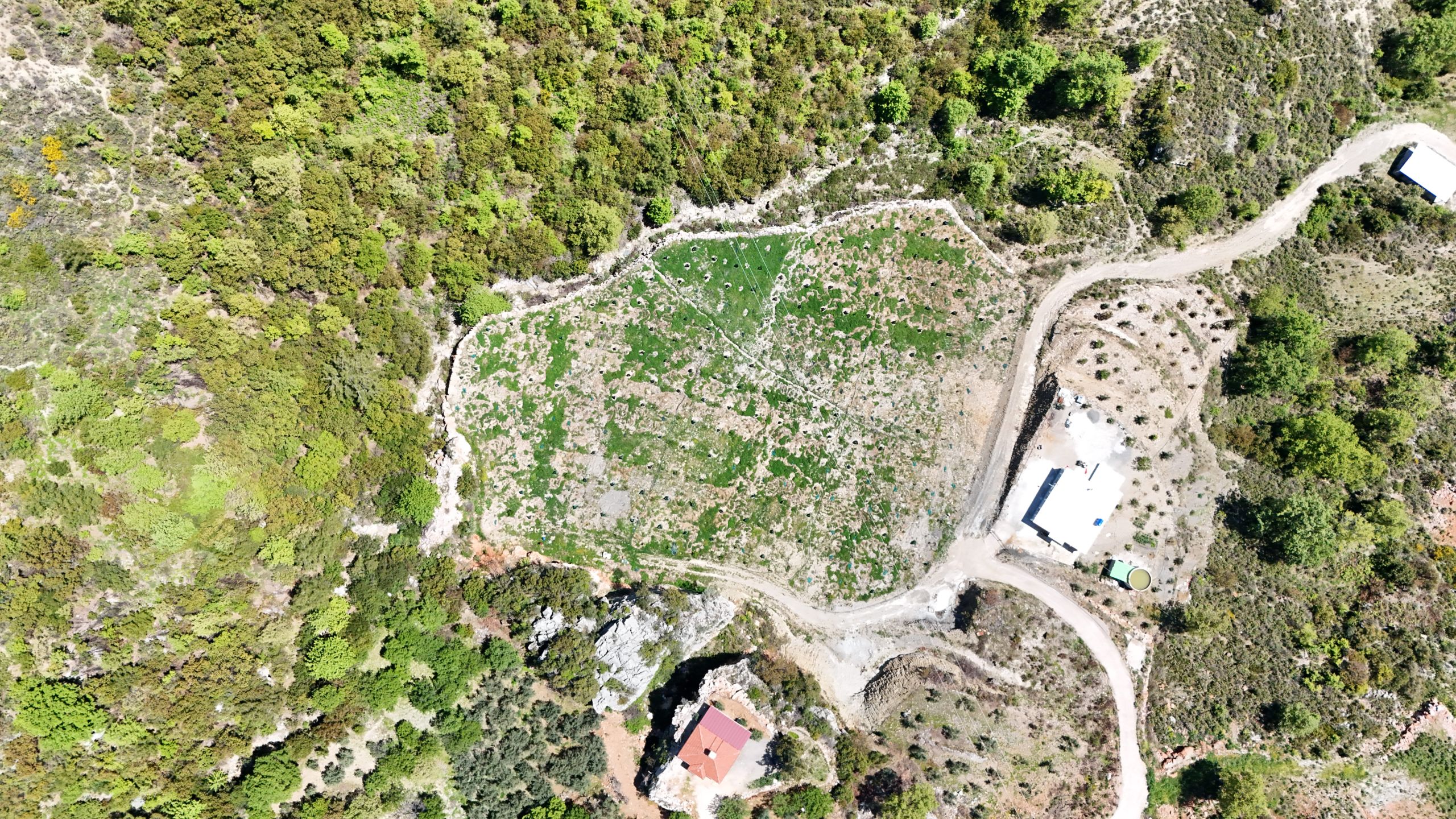 GÖZÜKÜÇÜKLÜ BAHÇE