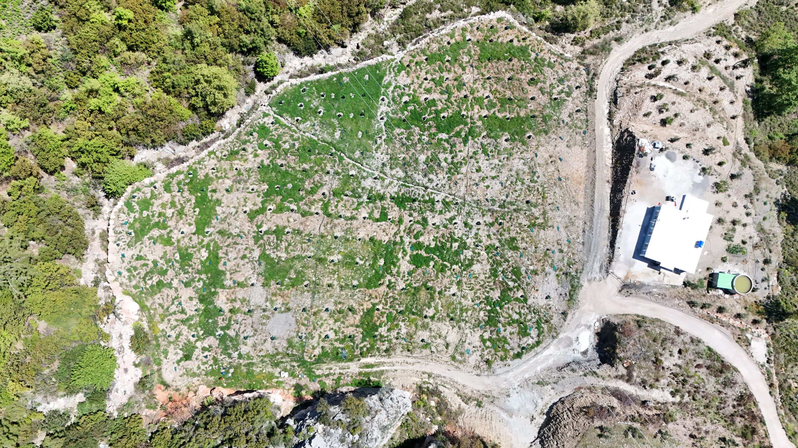 GÖZÜKÜÇÜKLÜ BAHÇE