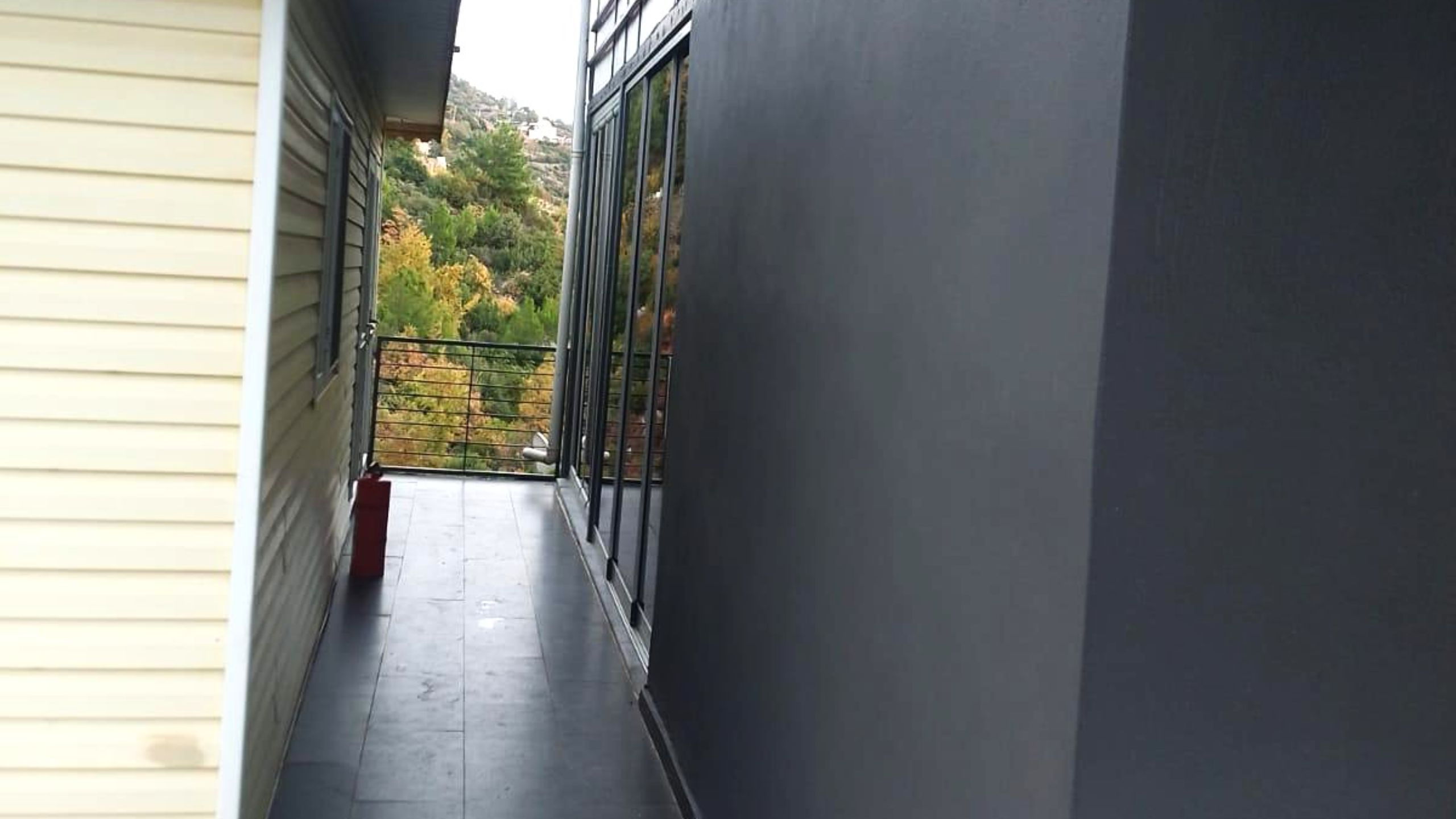 IMG-20250317-WA0051